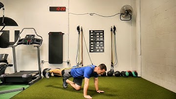 Quadruped Banded Hip Internal External Rotation