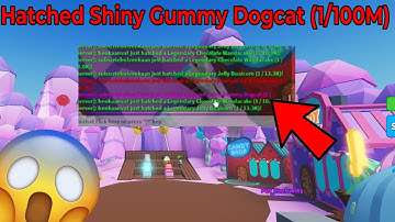 OMG! I Hatched A *SHINY SECRET GUMMY DOGCAT* (1/100M)