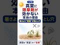 【豆知識】真夏に除草剤が効かない理由① #除草剤 #農業 #現代農業 #雑草 #雑草対策