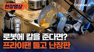 휴머노이드 로봇에 칼을 쥐어주면 생기는 일 [현장영상] / 채널A