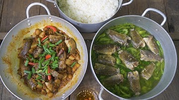 Bữa Cơm Chiều trên Sông Quê, Cá Rô Đồng nấu Canh Khổ Qua | Nét Quê #220