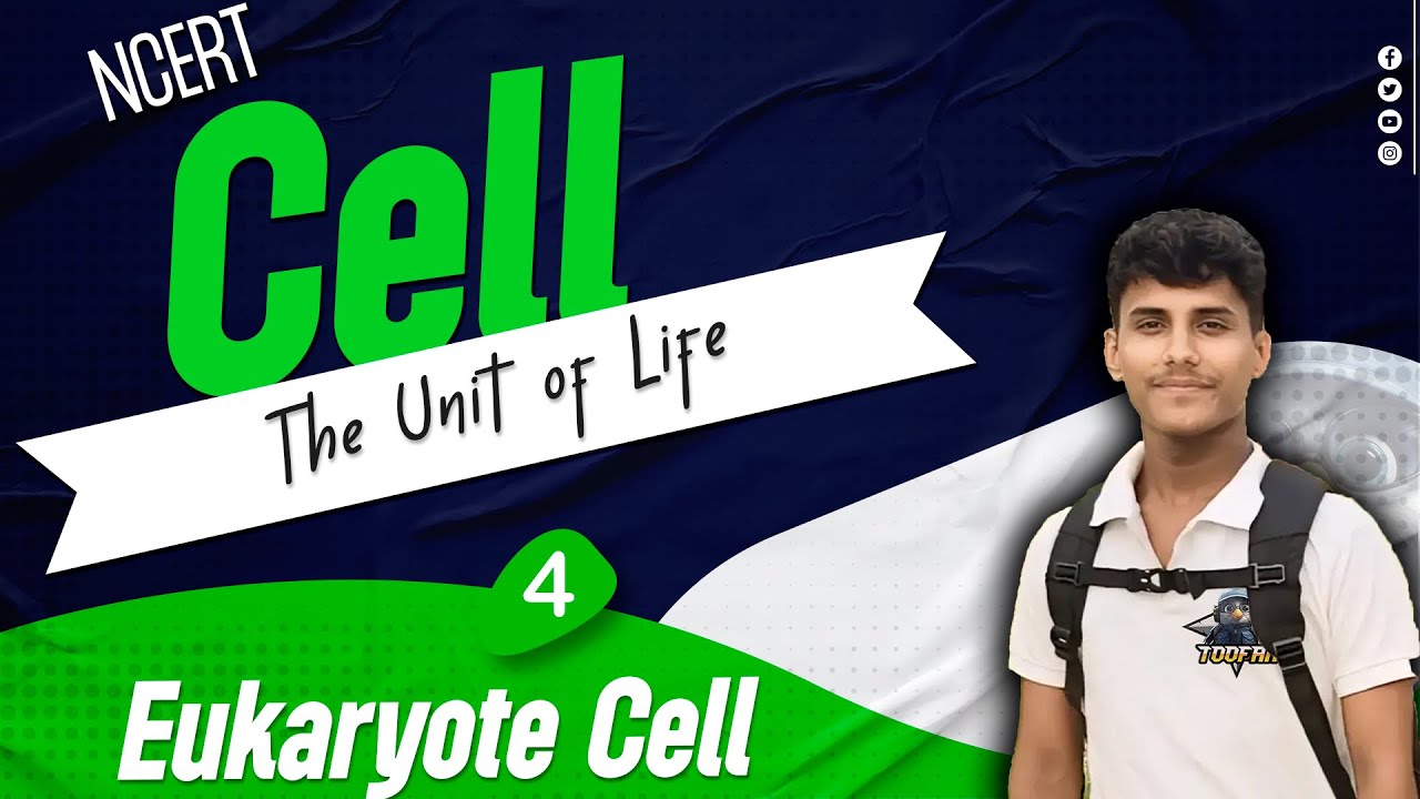 Cell - The Unit of Life • NCERT Explanation - YouTube