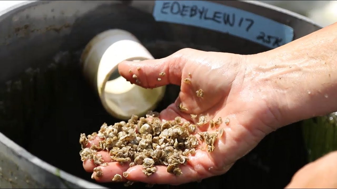 One Tributary at a Time