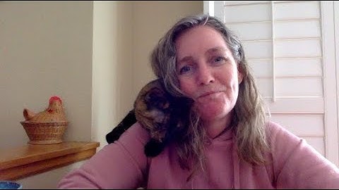 Tree Diagram: Flipping a Coin Three Times