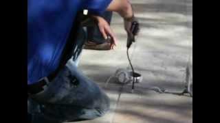 DSCF0048.AVI