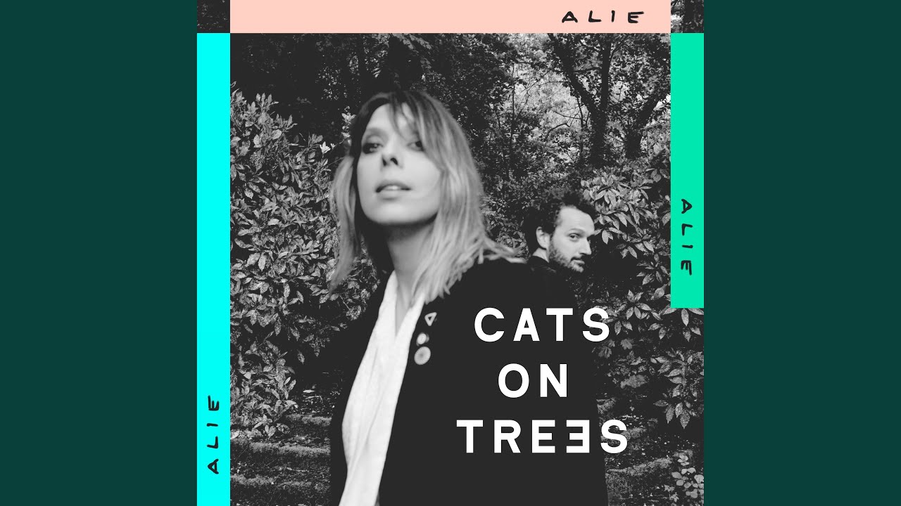 Please Please Please Cats On Trees Traduction