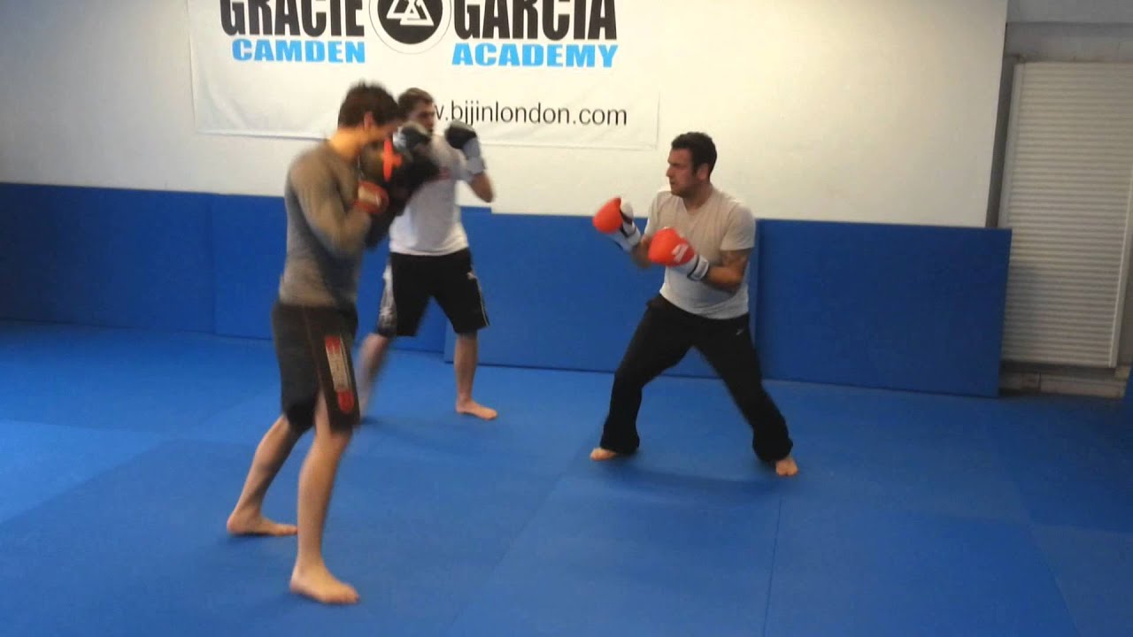 Multiple Opponent Training