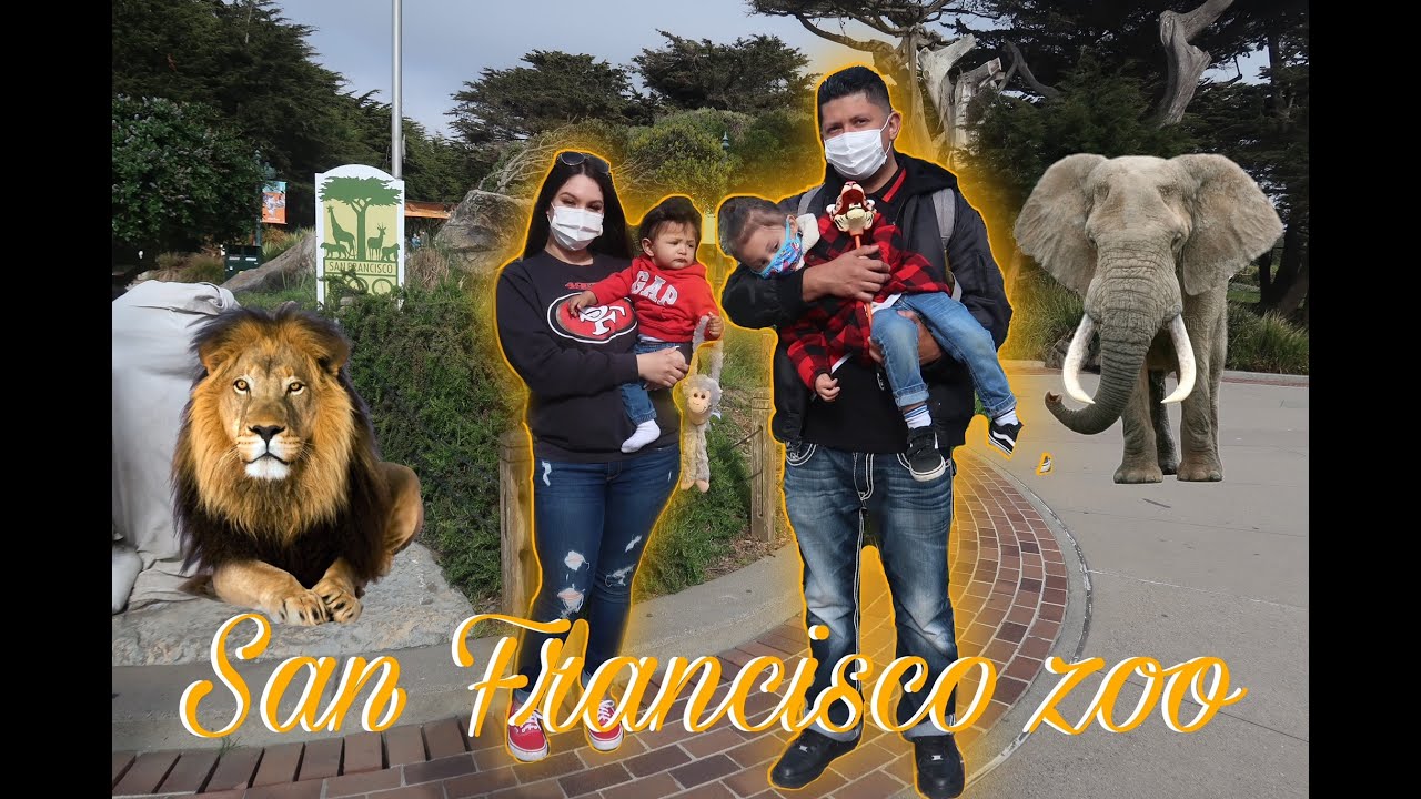 WE WENT TO THE SF ZOO !! | Fun Trip With the Kids