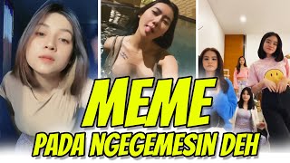 Meme Yang Bikin Gemes Asupan Harian Lucu Ngakak Random Para Tolol Best Memes Compilation