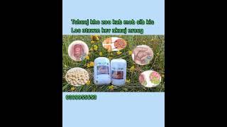 tshuaj ntsuab kho zoo kab mob sib kis los ntawm kev nkauj nraug