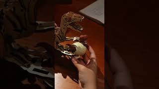 Unbox & Build ROKR Velociraptor 3D Wooden Puzzle #3dpuzzle