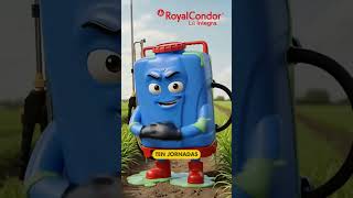 SMD RNT GTM ANIMACION AZUL 2026 Q1