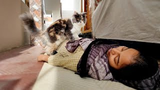 Famous DEATH PRANK ON NIKKI..😸 Wealth