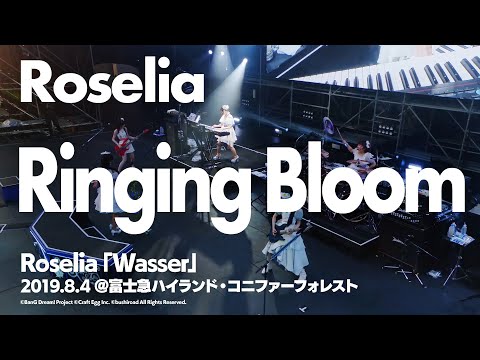 公式ライブ映像 Roselia Ringing Bloom 期間限定