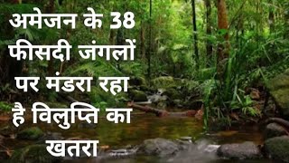 38 percent of the Amazon forests are facing the threat of extinction #MaliSamachar-Hindi #DineshMali