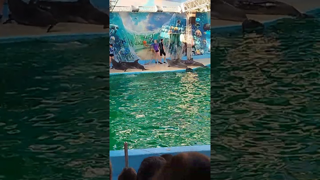 24 февраля 2026 г.