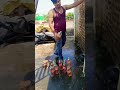 cpvc pipe line acid clliar #plumbingtime #pipelining video tranding viral video