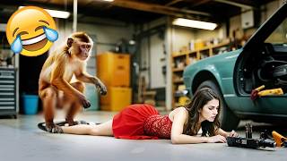 TRY NOT TO LAUGH – Funny Fails Compilation! #13