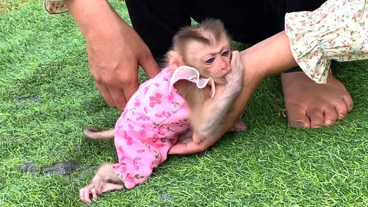 Amazing!! Mom takes her beautiful little daughter LIORA to exercise outside to keep her body strong