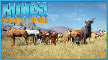 Playing With MODS on Call Of The Wild!