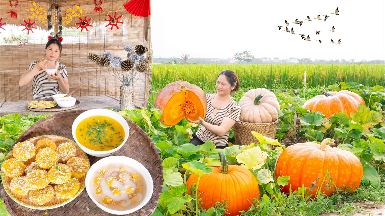 Harvest PUMPKIN | Make Delicious Soup, Cake & Candy of PUMPKIN| Go To Market Sell | Alma daily life