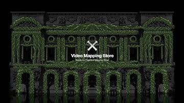 Сhristmas Tree - Video Mapping Toolkit Vol.18  Projection 3D Mapping