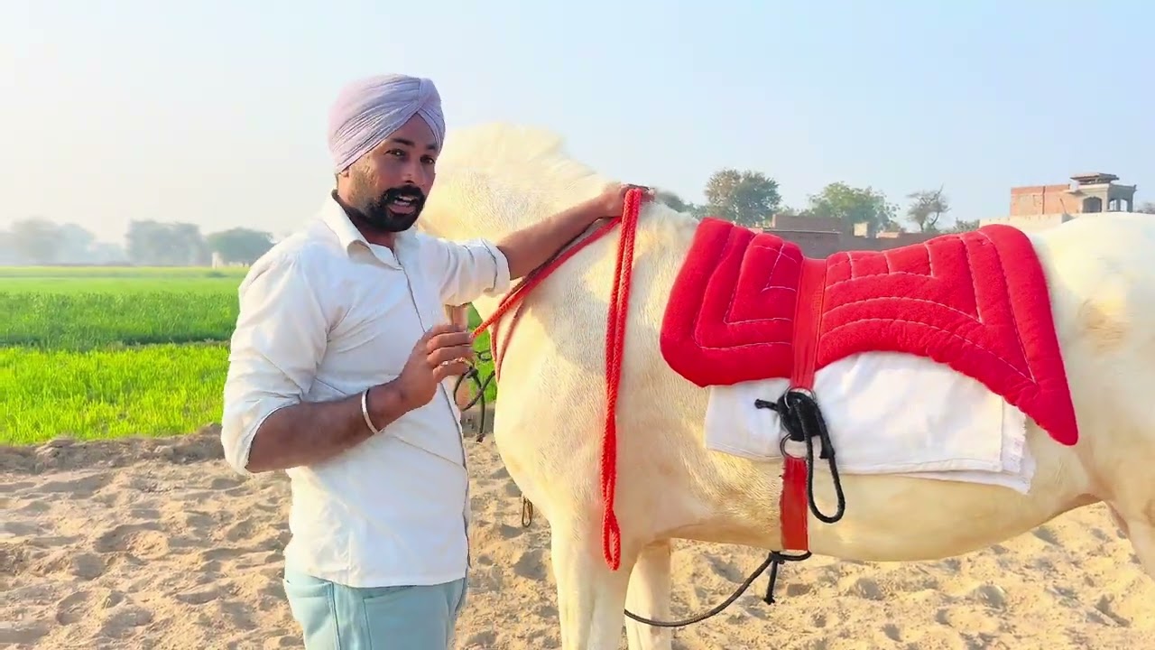 Day 4 of 7 days ❤️ 