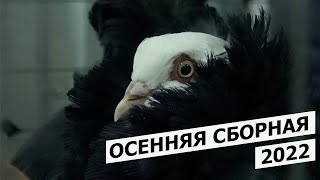 :   2022 ,29 ,  ""
