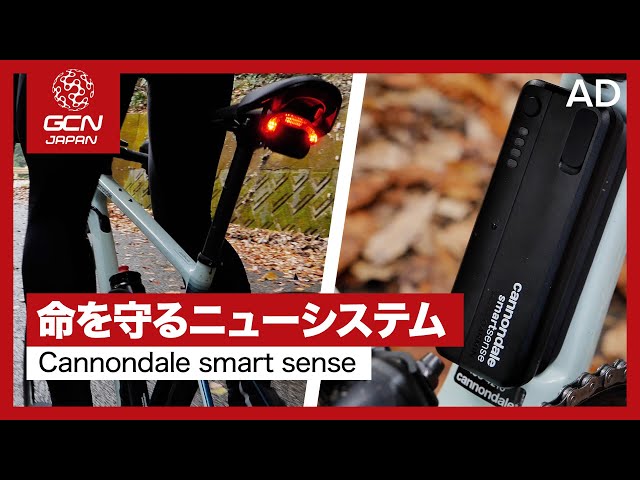 キャノンデール　スマートセンス　前後ライト キャノンデール スマートセンス 前後ライト CANNONDALE
