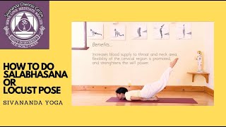 How to do the Locust — 12 Basic Asanas #7