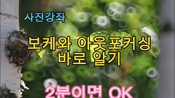 사진기초강좌(5) 보케 아웃포커싱 활용법[도넛보케=반사렌즈]