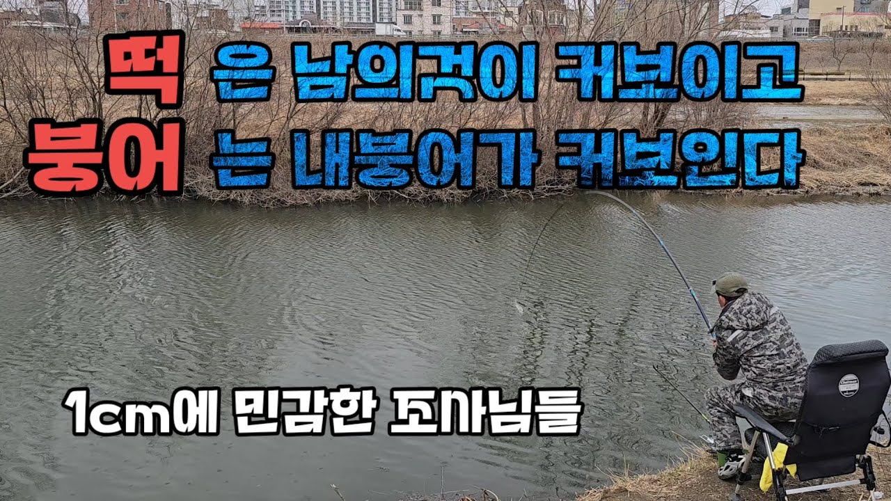 붕어낚시/ 남이 잡은붕어는 작아보이는이유/와일드몬스터 슬로우찌/토코 어분글루텐
