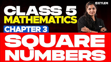 Class 5 Maths | Chapter 3: Square Numbers | Xylem Class 5
