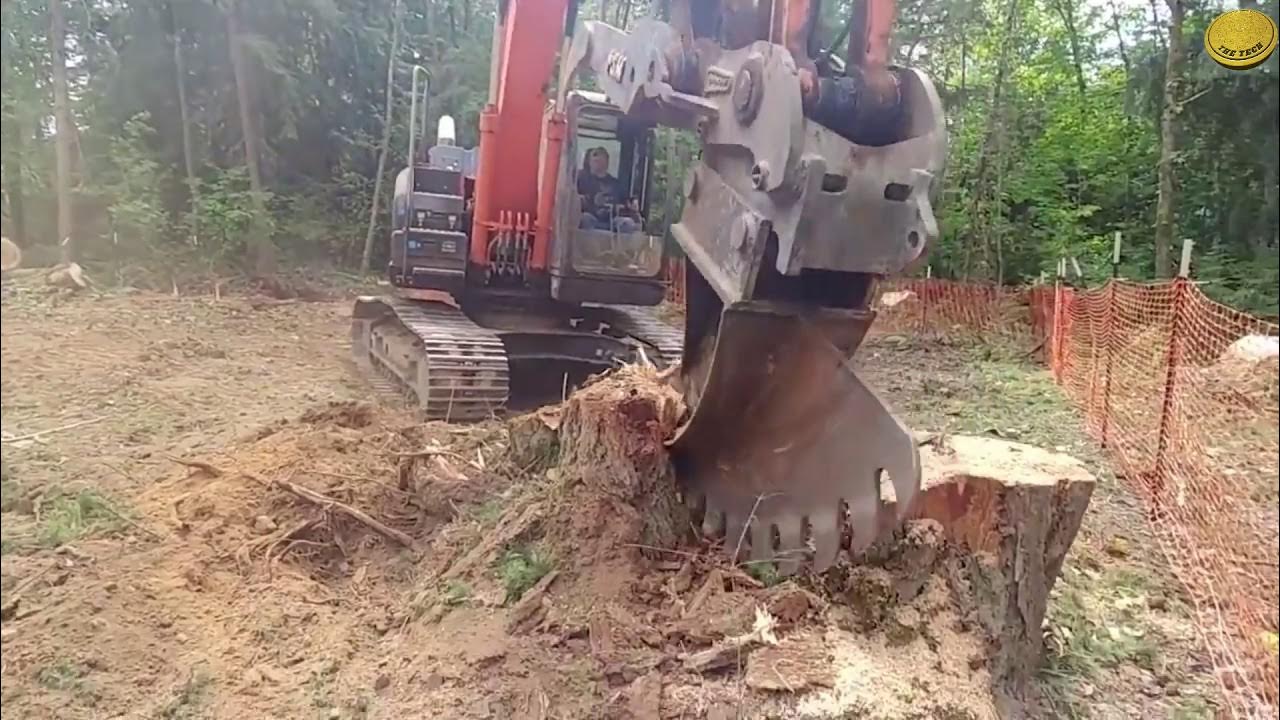 Tree Cutting machines YouTube