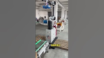 Palletizing Robot: A Must-See for Warehouse Upgrades! Save Money and Worry PalletizingRobo.