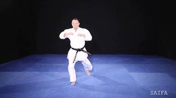 Shito Ryu Shukokai Saifa