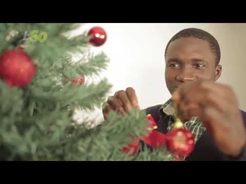 when-to-put-up-your-christmas-tree-this-year