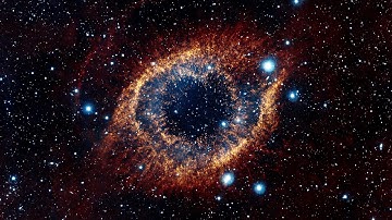 Sounds Of Life (Source Direct) - Intellect