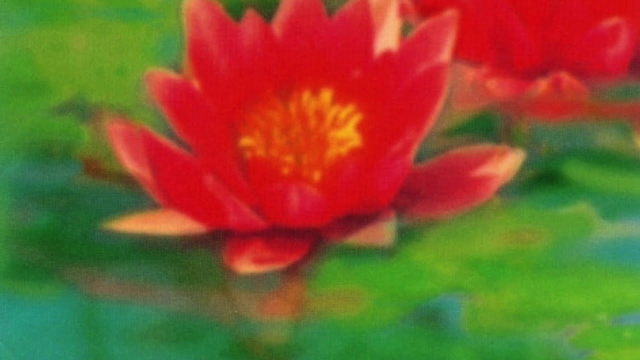 World Standard: The Nostalgic Environmental Sounds of Soichiro