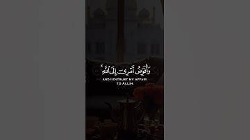 #وافوض_امري_الى_الله #المصحف #يوم_الجمعة #الاستغفار #همسه #اذكار #دعاء #اللهم_صلي_على_محمد