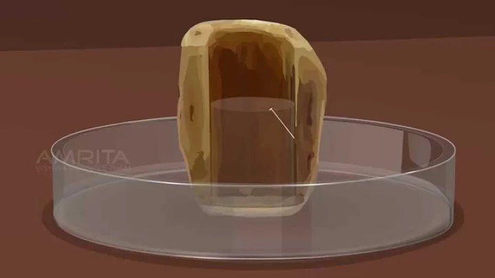 Study of Osmosis - MeitY OLabs