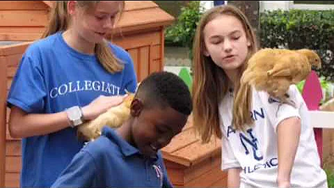 A new era at Norfolk Collegiate