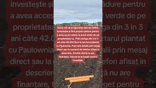 Paulownia Sipote: Whatsapp/Telegram/Viber/Apel +40754752607