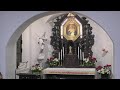 17012024 webcam nachts  original shrine  urheiligtum  santuario original