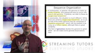 Organization and Types of Sequence Elements