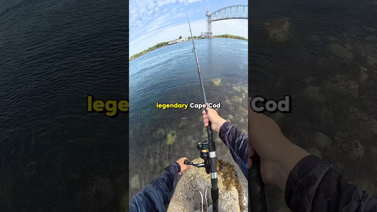 best fishing reel for cape cod canal the Canal: Muller, D. J.: 9781580801836 Books Shimano's Cape Cod Canal Jigging