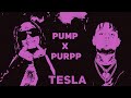 Lil Pump Smokepurpp Tesla Full Song mp3