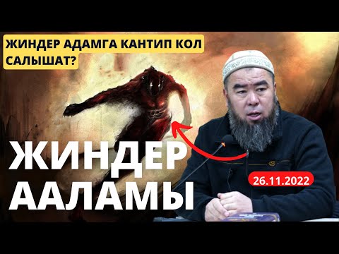 Video: Көгүчкөндөр адамдарга кол салышабы?