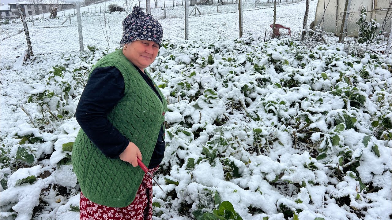 Karlar altında kaldik❄Mancar aradik🤷‍♂️