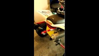 ATV Wheelie Bar TAG-Z. Honda TRX450ER 2006.